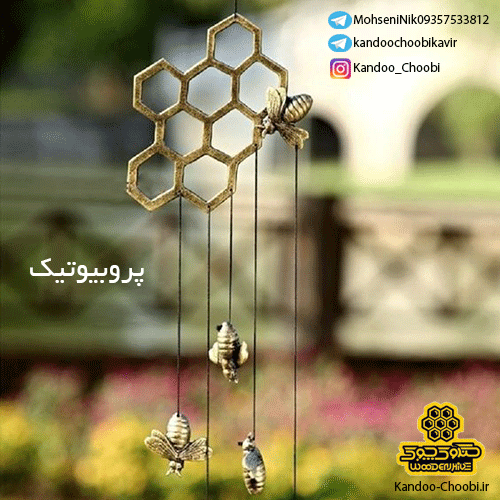تاثیر پروبیوتیک در تغذیه زنبور عسل